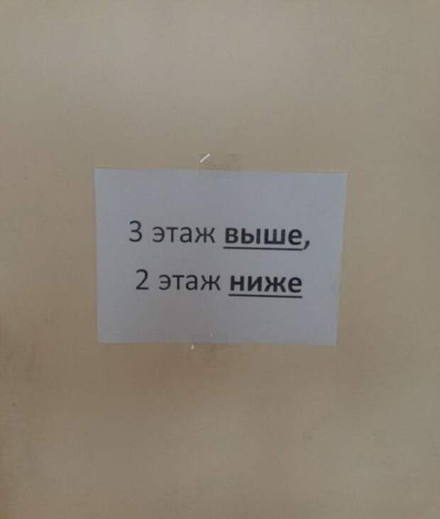 Фото приколы по полной.