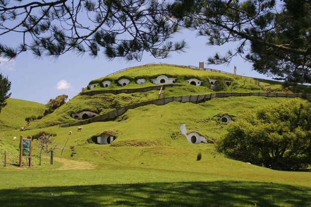 Овцы и Хоббит Шир в Новой Зеландии, где были сняты фильмы Властелин Колец. зелёные крыши, экологичный дом