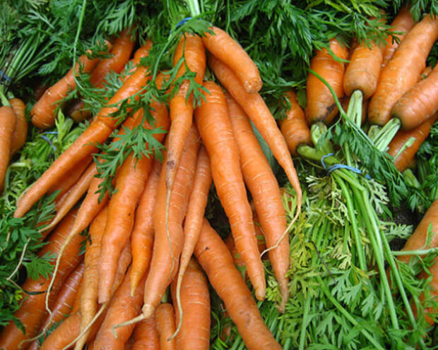 Carrots