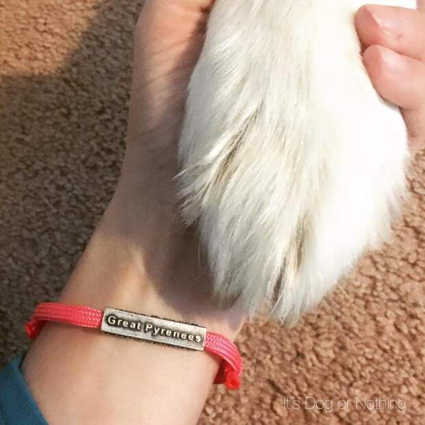 Great Pyrenees Love Bracelet
