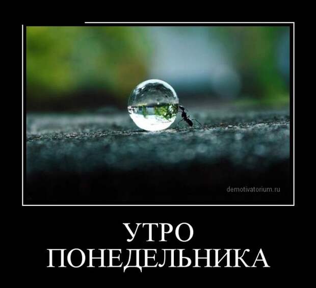 Демотиваторы демотиваторы, юмор