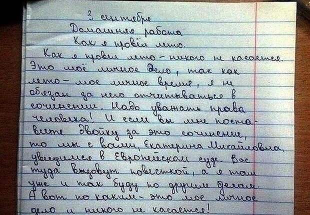 5. Интересно, а они встретились? дети, опять двойка, сочинение, школа