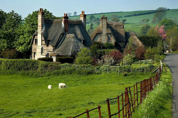 Сказочное графство Девоншир thatched cottage6 Сказочное графство Девоншир