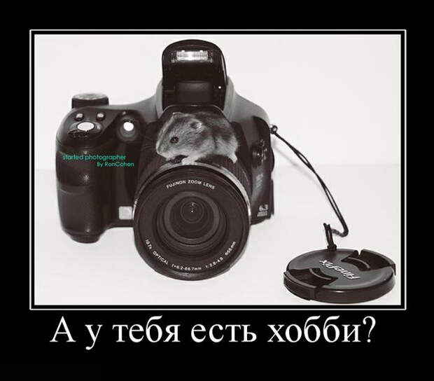 19 лучших демотиваторов о хобби демотиватор, хобби