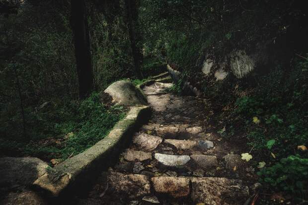Загадочная Португалия: от портвейна к столице