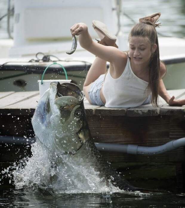 Прикольные картинки Прикольные картинки