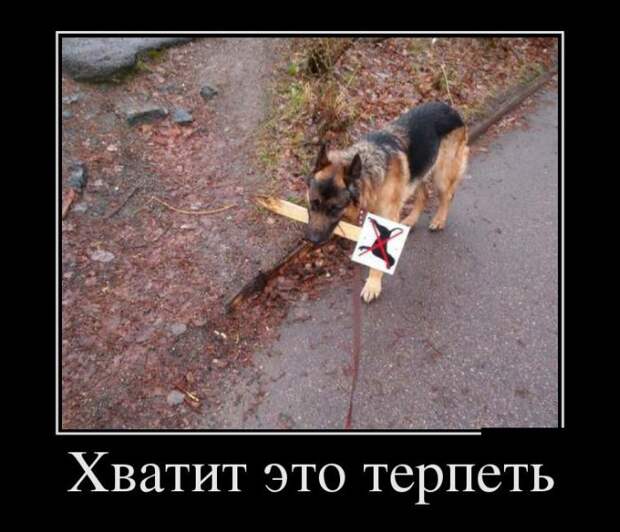 Демотиваторы (30 фото)