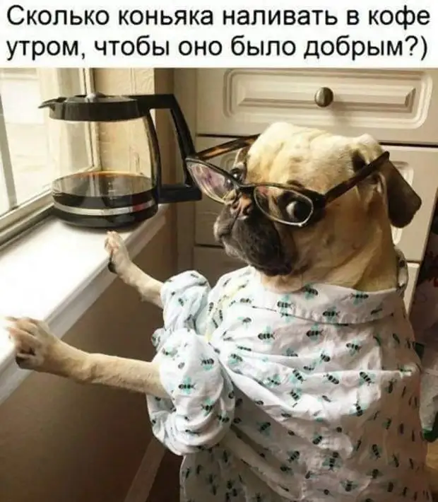 К психотерапевту идти уже поздно, к психиатру - страшно... Причём за него-то и страшно... К психотерапевту идти уже поздно, к психиатру - страшно... Причём за него-то и страшно... чтобы, четверть, спрашивает, Когда, классе, говорить, скажет, застукал, допроса, плохо, заплела, завтрак, приготовила, обручальное, постель, заправила, разбудила, детей, умыла, одела