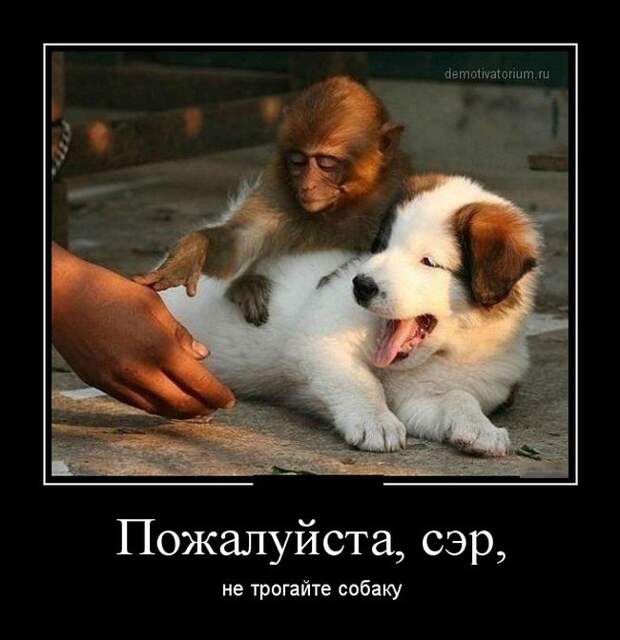 Демотиваторы №1050 (30 фото) Демотиваторы №1050 (30 фото)