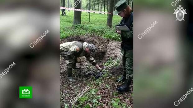 В гатчинском парке нашли братскую могилу военнопленных времен Великой Отечественной