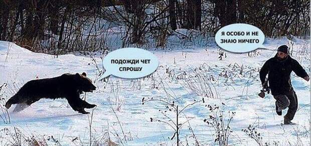 Прикольные картинки. Вечерний выпуск картинки, прикол, фото, юмор