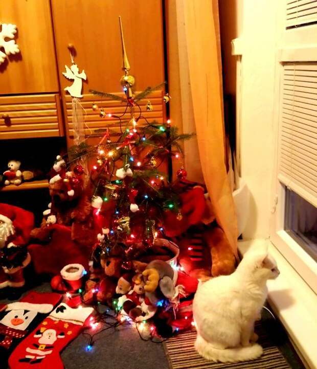 50 котеек, которые помогают наряжать елку и делают Новый год незабываемым