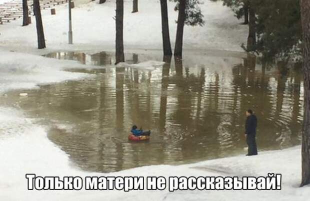 Картинки, юмор, приколы