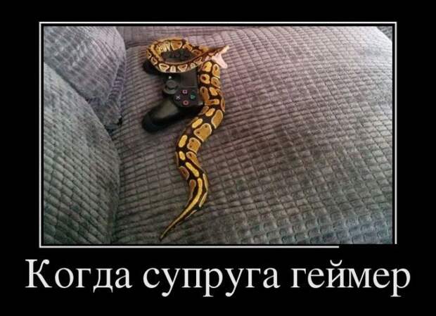 Подборка демотиваторов  демотиватор, юмор