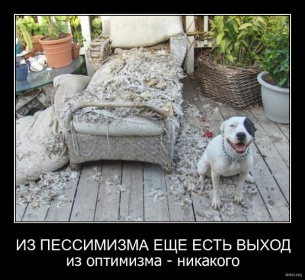 Приколы демотиваторы, смешные надписи и фото.