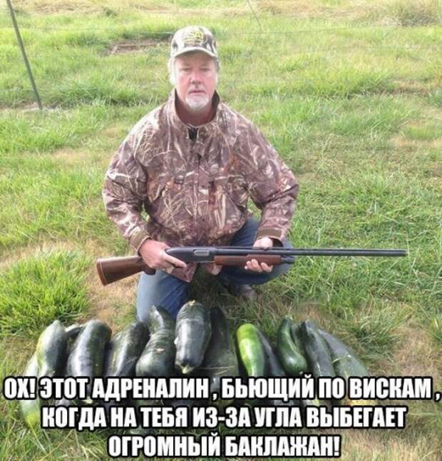 Прикольные фотомемы на Бугаге (33 шт)