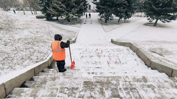 В Алтайском крае выявили острый дефицит дворников
