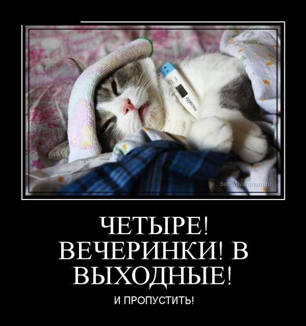 Демотиваторы (30 фото)