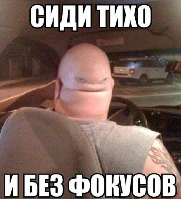 Позитив, юмор, смешные фотографии,прикол