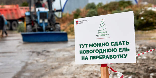 Акция «Елочный круговорот» пройдет с 2 января по 26 февраля