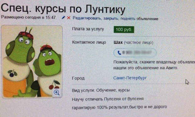 позитивные объявления с юмором 
