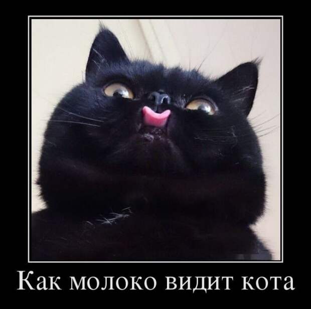 Демотиваторы Демотиваторы демотиваторы, юмор