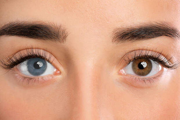 Экономист Кутьин: идентификация по радужке глаза станет востребованной в России