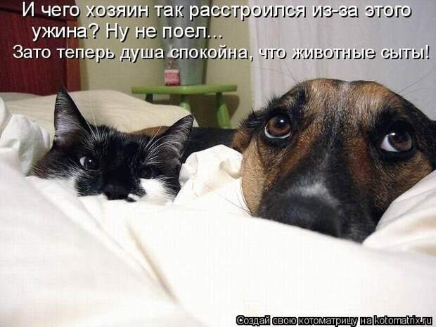 Мысли вслух :)