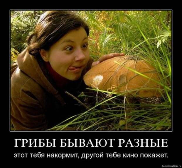 Смешные демы за неделю.