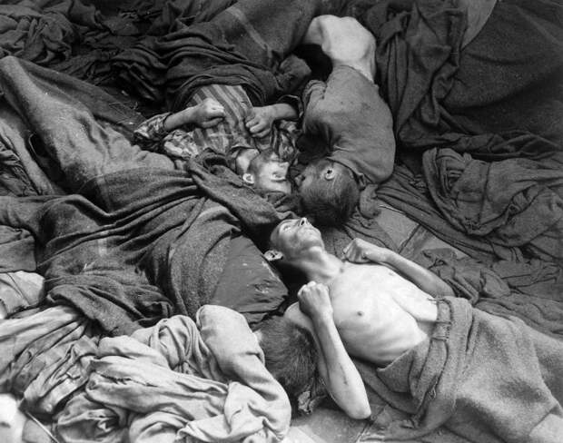 Ужасы Дахау - наука вне морали  дахау, история, освобождение