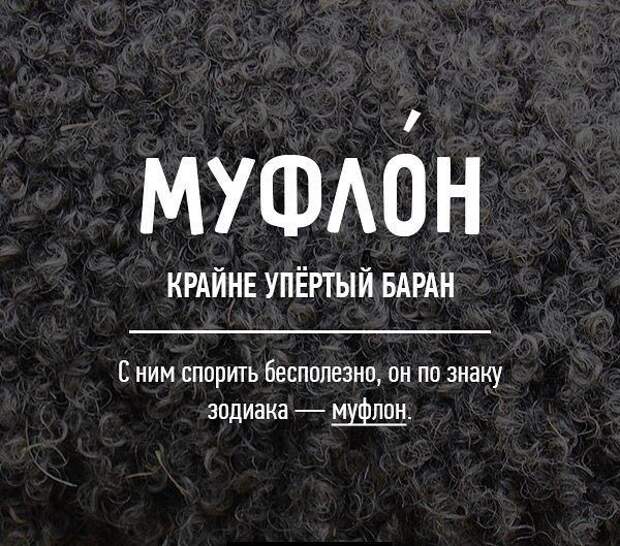 Редкие бранные слова русского языка (20 картинок)
