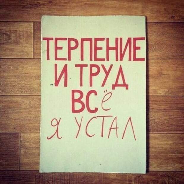 Весёлые картинки