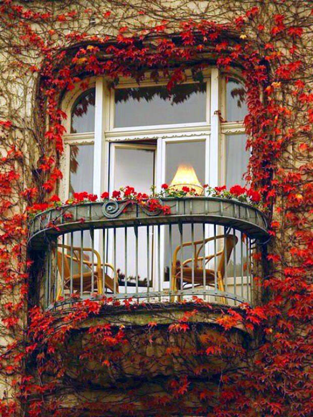Потрясающий балкончик в окружении красного плюща. Париж, Франция.