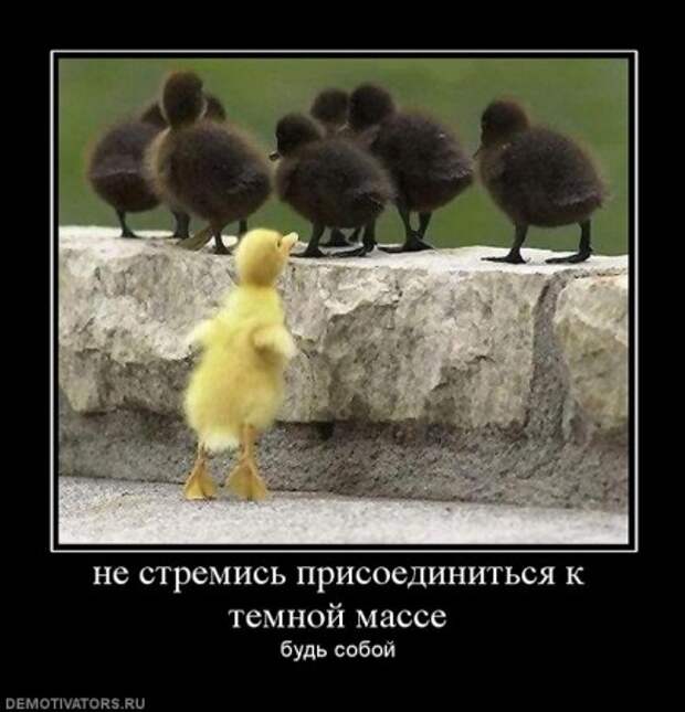 Демотиваторы со смыслом про одиночество, фото плюс текст.