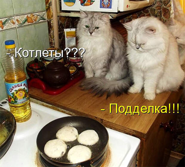 поддельные котлеты