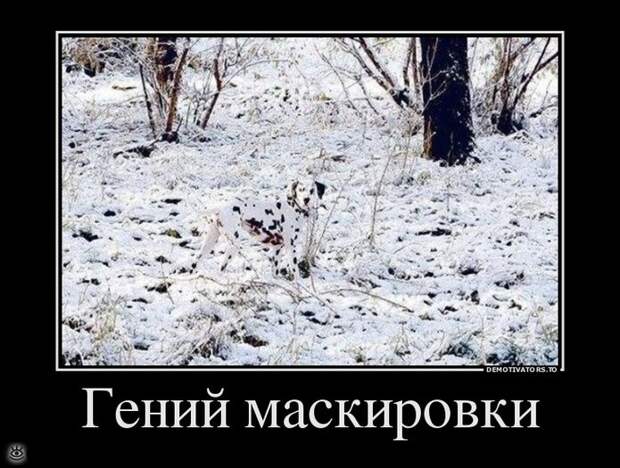 Отдохнул - отдохни ещё! 25