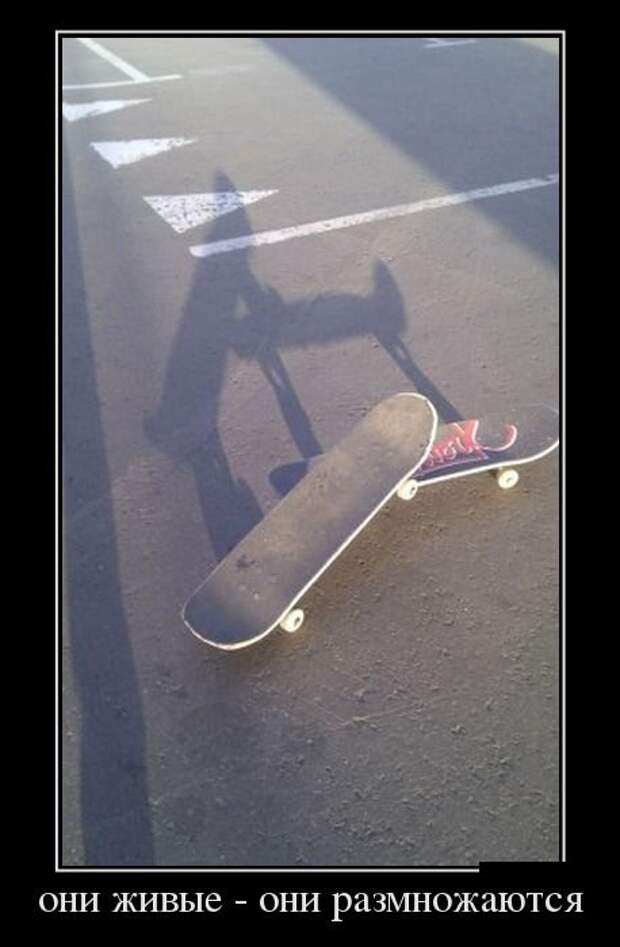 demotivatory-demotivator-smeshnye-demotivatory-demotivator-so-smyslom demotivatory-demotivator-smeshnye-demotivatory-demotivator-so-smyslom