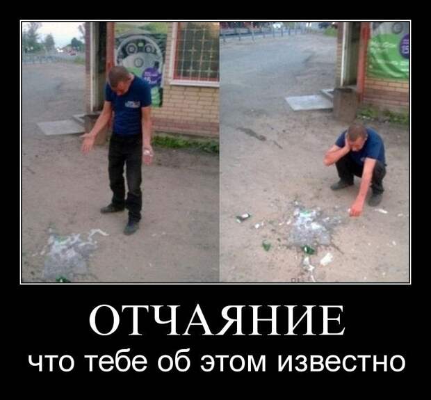 Новые ржачные демотиваторы (19 шт)