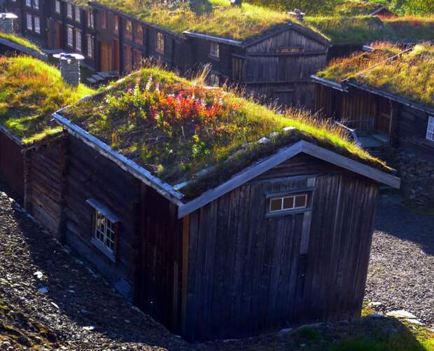Хижины шахтеров в Роросе, Норвегия зелёные крыши, экологичный дом