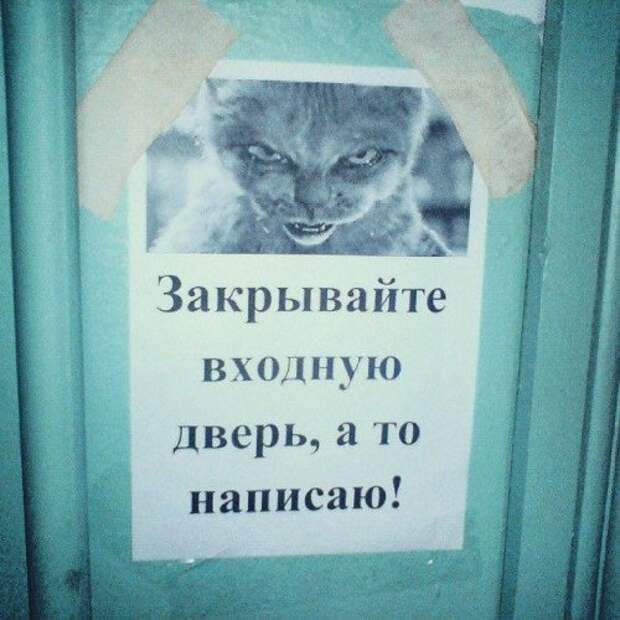 Смешные и прикольные объявления в подъездах (25 фото)