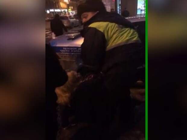 Пешеходы набросились на инспекторов, пытавшихся увезти нарушительницу (видео)