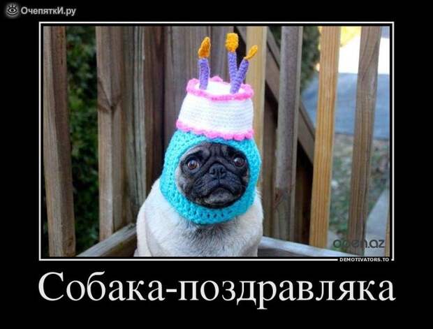 Дружба решает всё! 15