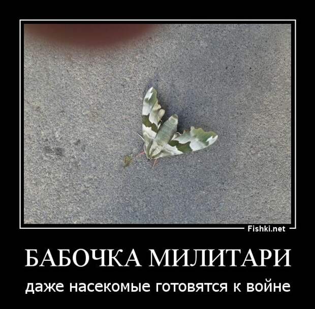 Демотиваторы  демотиваторы, прикол, смех, юмор