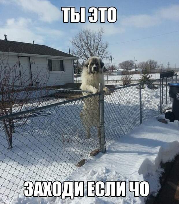 Смейся до слез с новыми фото приколами :)