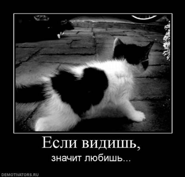 Демотиваторы смысловые.