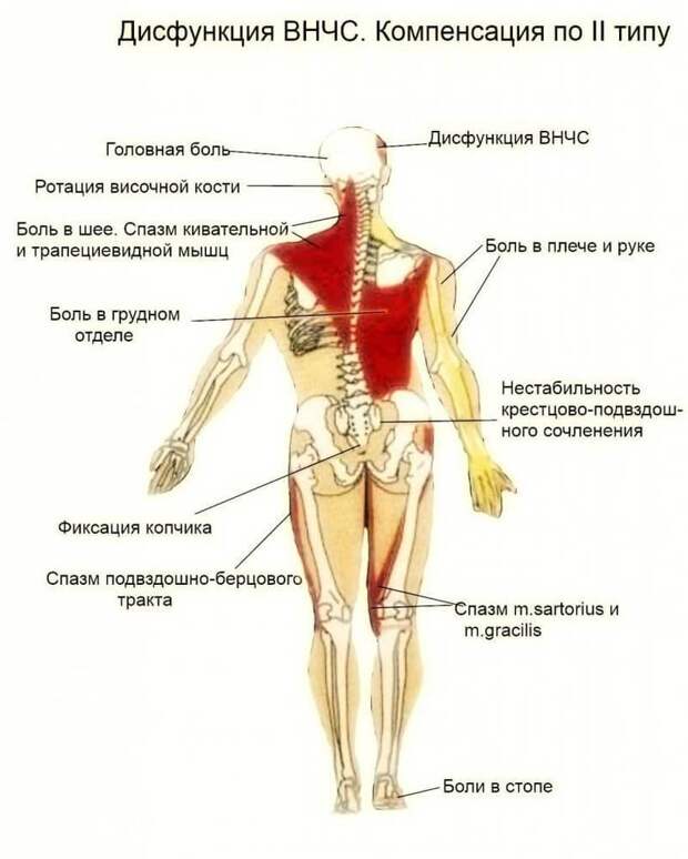 Лечение дисфункций височно-нижнечелюстного сустава