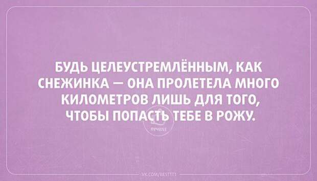 Актуальные цитаты интернета