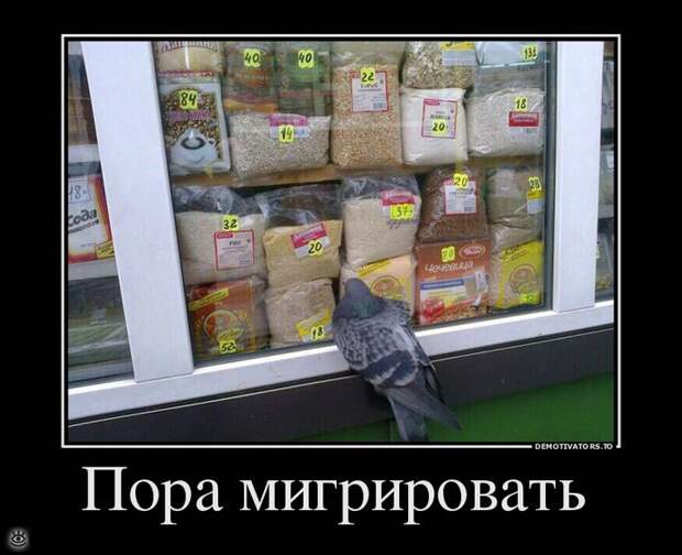 Смотри на жизнь весело! 26