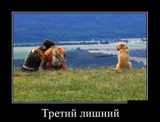 Демотиваторы (30 фото)