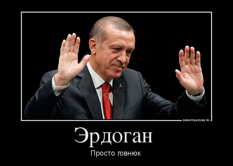 251423_erdogan-_demotivators_to.jpg